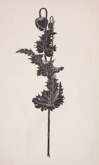 Blomsterstudie. av Harry Fenn
