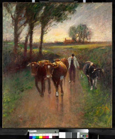 Driva kor till betesmark av Harry Fidler
