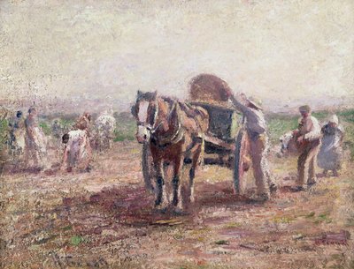 Potatisplockarna av Harry Fidler