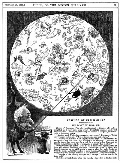 Essence of Parliament: Tecknad serie som markerar invigningen av parlamentets första session för 1883 (trägravyr) av Harry Furniss