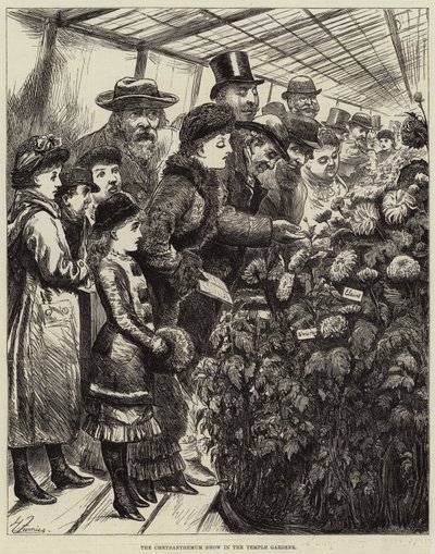 Krysantemumshowen i Temple Gardens av Harry Furniss