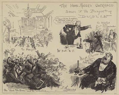 De upprörda hemmahärskarna, scener från banketten i Dublin av Harry Furniss