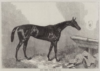 Queen Bertha, vinnare av ekipaget av Harry Hall