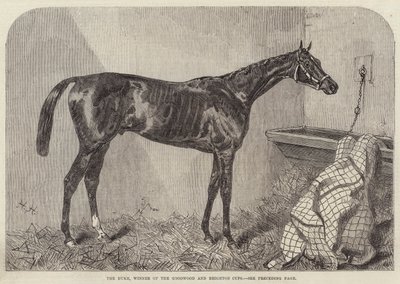 The Duke, vinnare av Goodwood och Brighton Cup av Harry Hall