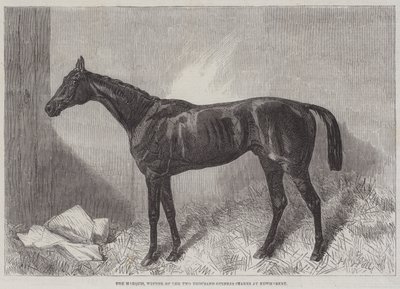 Markisen, vinnare av Two Thousand Guineas Stakes på Newmarket av Harry Hall