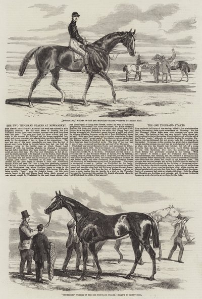De två tusen insatserna på Newmarket av Harry Hall