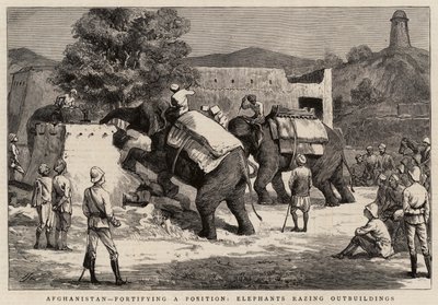 Afghanistan, befästning av en position, Elefanter som raserar uthus av Harry Hamilton Johnston