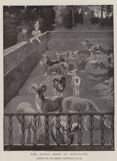 Påvens flock mufflons av Harry Hamilton Johnston