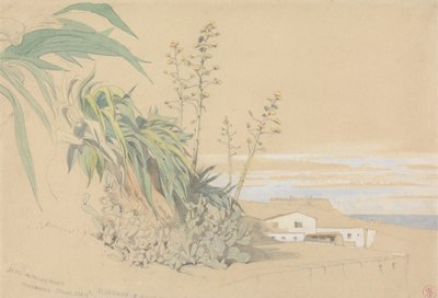 Aloe och prickly Pears, Tarragona, Spanien av Harry John Johnson