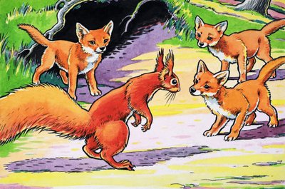 Laiti Squirrels Red Squirrels av Harry M. Pettit