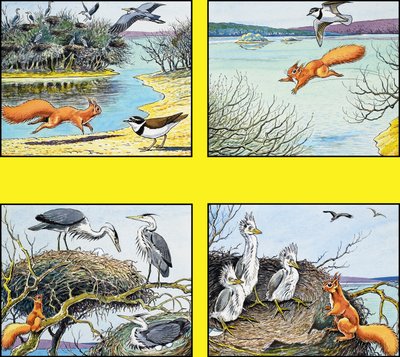 Lilla röda ekorren av Harry M. Pettit