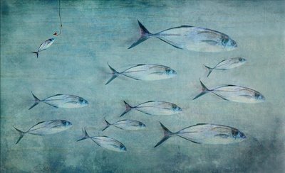 Liten fisk, stor krok av Harry Wentworth
