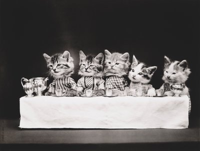 Serie med kattungar: Sista måltiden, ca 1914 (silvertryck) av Harry Whittier Frees