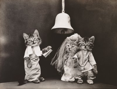Serie med kattungar: Bröllop, ca 1914 (silvertryck) av Harry Whittier Frees
