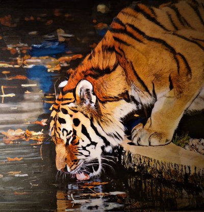 Tiger av HaskellArt
