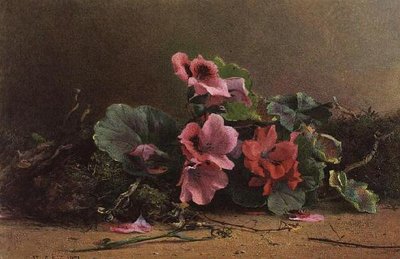 En studie av pelargoner av Hector Caffieri