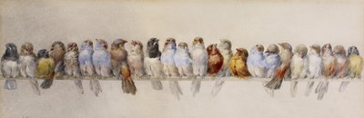A Perch of Birds, ca 1880 (akvarell och grafit på papper) av Hector Giacomelli
