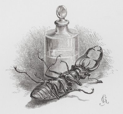 Insekten: Död skalbagge (gravyr) av Hector Giacomelli
