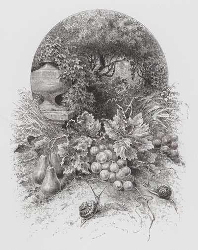 Insekten: Sniglar (gravyr) av Hector Giacomelli