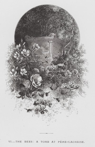 Insekten: Bina, en grav i Pere-Lachaise (gravyr) av Hector Giacomelli