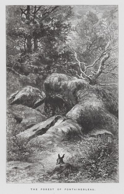 Insekten: Fontainebleaus skog (gravyr) av Hector Giacomelli