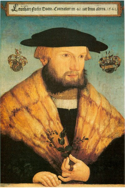 Porträtt av Leonhart Fuchs (1501-1566) av Heinrich Füllmaurer