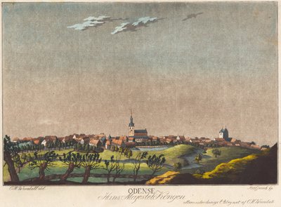 Odense av Heinrich Grosch