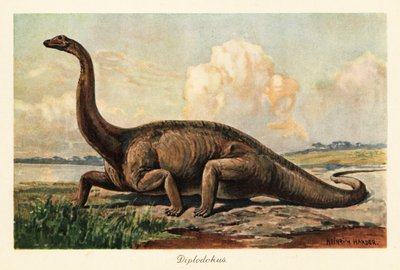 Utdöd Diplodocus longus på slätten. av Heinrich Harder