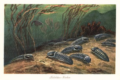 Utdöda trilobiter på havsbotten. av Heinrich Harder