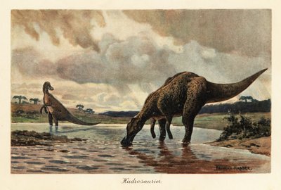 Hadrosaurier eller anknäbbsdinosaurier som matar i en flod. av Heinrich Harder