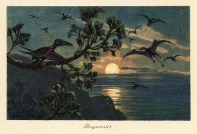 Rhamphorhynchus pterosaurs flyger i månskenet. av Heinrich Harder