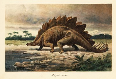 Stegosaurus armatus från sen jura. av Heinrich Harder