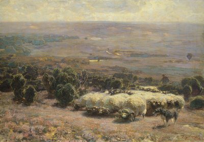 En flock får i Luneburger Heide, 1902 av Heinrich Johann von Zugel