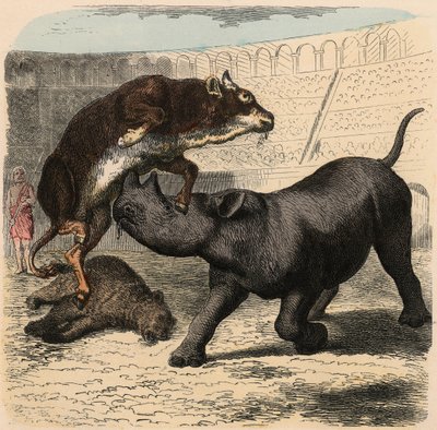 Antikens Rom: Djur som slåss i amfiteatern av Heinrich Leutemann