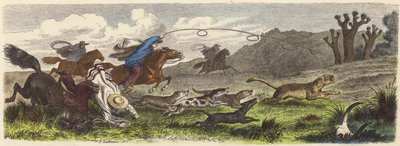 Jagar puma med lassos i Brasilien (färgad gravyr) av Heinrich Leutemann