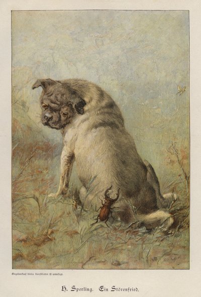 A Troublemaker (färgad gravyr) av Heinrich Sperling