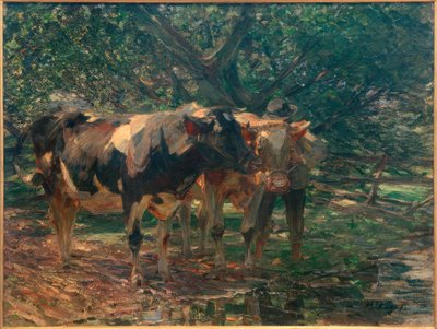 Svart och röd ruta av Heinrich von Zügel
