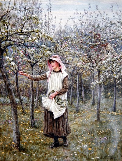 Blossom Time (akvarell på papper) av Helen Allingham