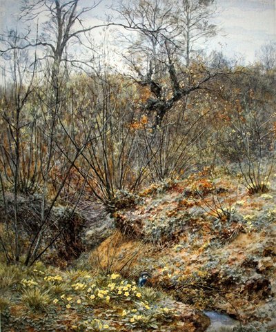 Spring copse, Witley, Surrey (akvarell på papper) av Helen Allingham