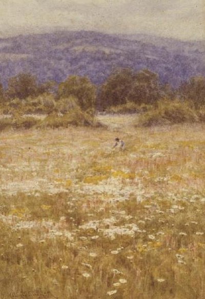 Sommarblommor av Helen Allingham