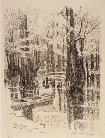 Cypress träsk av Helen Hyde