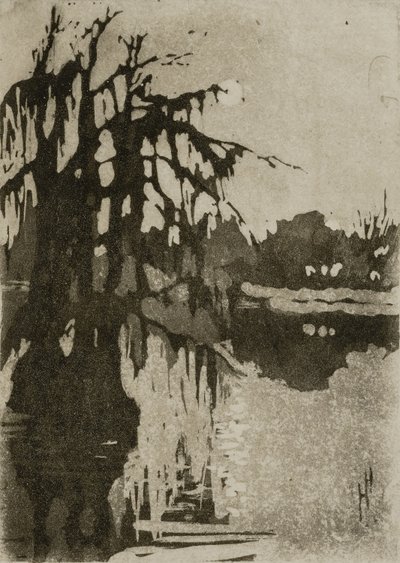 Cypress träd av Helen Hyde