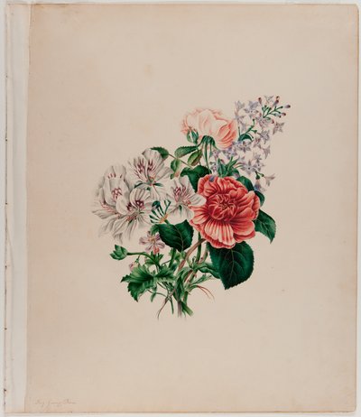 St. Leon Bouquet, ca 1842 (akvarell på papper) av Helen Lockie and family Jones