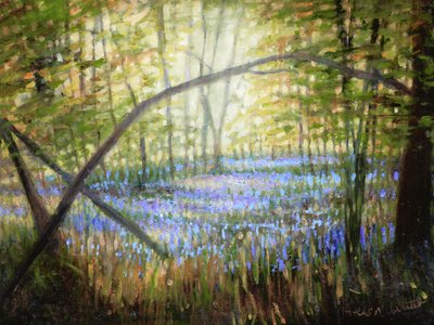 Bluebell Glade, 2024 (olja på duk) av Helen White
