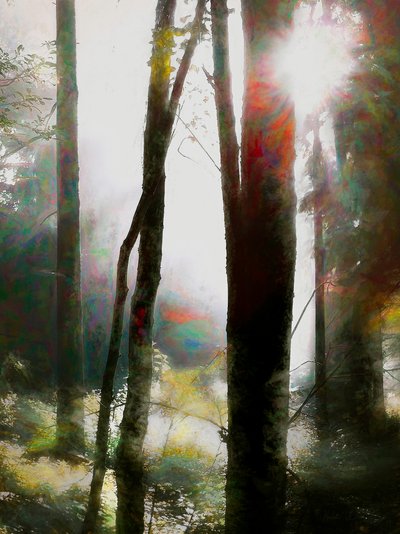 Våga tro, 2018 av Helen White