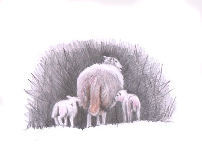 Följ, 2016, (pennteckning) av Helen White