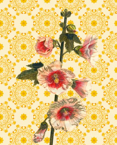 Hollyhocks on Sunshine, 2021 (akvarell) av Helen White