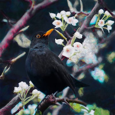 Lord of the Summer Song, 2019 av Helen White