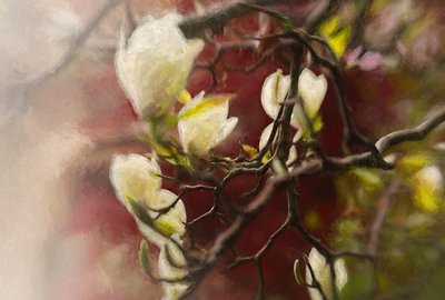 Magnolia, 2018 av Helen White