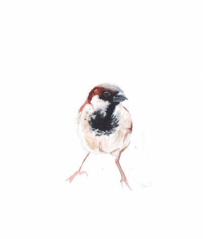 Sparrow hane I, 2022 av Helen White